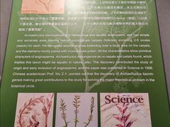 -辽宁古生物博物馆