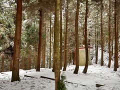 -武陵山森林公园