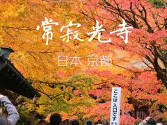-常寂光寺