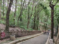 -灵岩山风景区
