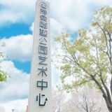 攻略 | 静安区0元不排队赏樱🌸保姆级指南建议收藏