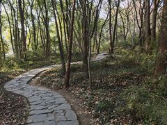 -灵岩山风景区