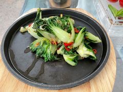 焗锅气奶白菜-小大董·烤鸭(五棵松店)