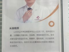 -全心全意连锁动物医院·微创中心·内科急重症·心脏专科(丰管路店)