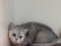 -佳雯宠物医院·皮肤科·内外科(春晓路分院)