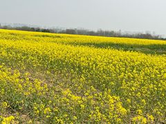 -汉长安城未央宫国家考古遗址公园