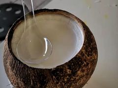 -椰爺爺·椰子冻砵仔糕