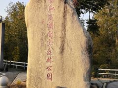 -合肥滨湖国家森林公园