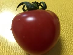 -众旺烙糕宴(悼陵监店)