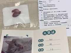-睿金宠物医院·CT·肿瘤·骨外科