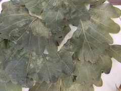 -龙香居海鲜浑锅家常菜·特色驴肉