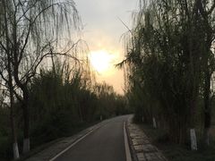 -白鹭湾湿地公园