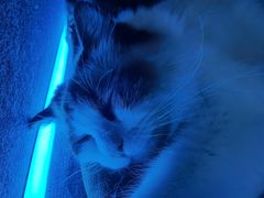 -零纪元VR体验馆·桌游(黄浦店)