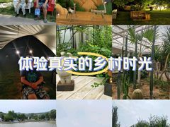 -日光山谷营地乐园