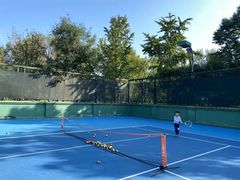 -齐动力网球(星河湾基地店)