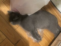 -宠颐生宠物医院·综合诊疗(先锋分院)