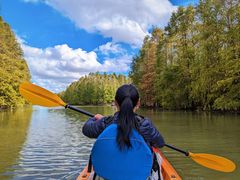-上海海湾国家森林公园
