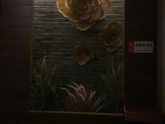 -Dragonfly 悠庭·按摩Spa(苏州中心广场店)