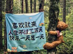 -汤旺河林海奇石景区