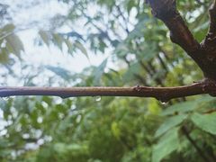 -南京市江宁方山