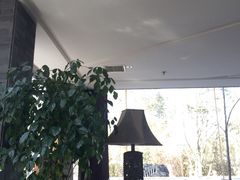 -唐廊烤鸭店(工体店)
