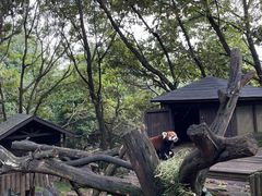 -云南野生动物园