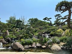 -罗红摄影艺术馆