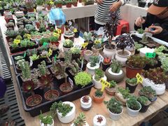 -秦美花卉(天朗·莱茵小城2期店)