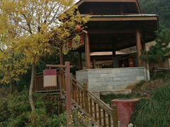 -徂徕山森林康养度假谷温泉