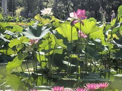 -国家植物园南园