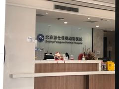 -北京派仕佳德动物医院·超导核磁·CT·神经科·骨科·内外科·急重症管理中心