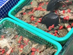 -丰卓会海鲜自助(中润大道店)