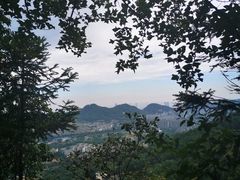 -南山植物园