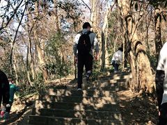 -紫金山天文台