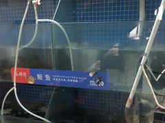 -鱼酷活鱼烤鱼(信息城店)