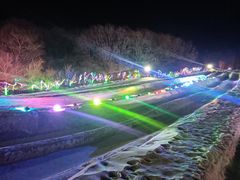 -吉林市朱雀山国家森林公园