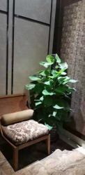 点击看大图 -诗泥SPA
