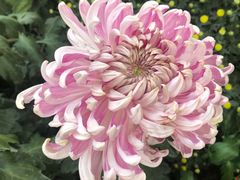 -上海市龙华烈士陵园