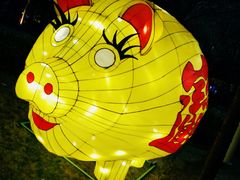 -锦江乐园舞狸花花游园会(夜场专享)