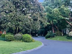 -浙江西子宾馆·牡丹厅