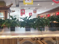 -大清花饺子(山庄店)
