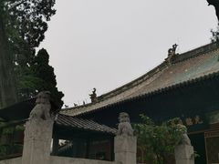 -关林