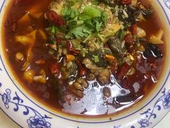 -丁老爷子苏香圆