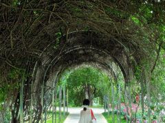 -人民公园(罗湖区)