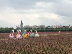 -美的鹭湖森林度假区