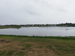 -春花秋色城市公园