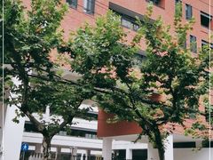 -上海市静安区教育学院附属学校(江宁校区)