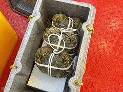 -蟹天蟹地农家菜·阳澄湖大闸蟹(浅水湾店)