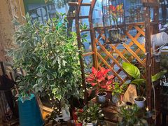 -木槿花韩式炭烤·熟成肉工坊(孙文东路店)