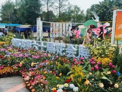 -龙抄手食府(浣花北路店)